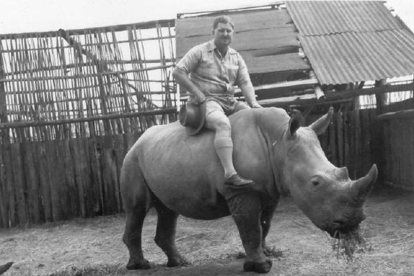 The Rhino Jet Set