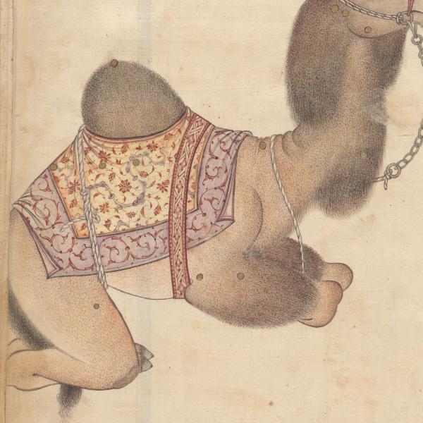description in image caption