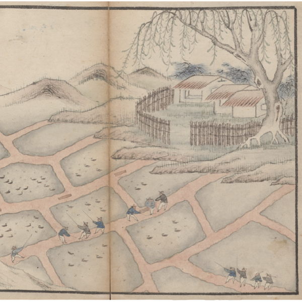 description in image caption