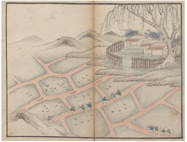 Image of Releasing ducks to devour locusts, from Li Yuan, Buhuang tuce (Illustrated Book for Catching Locusts), 1759