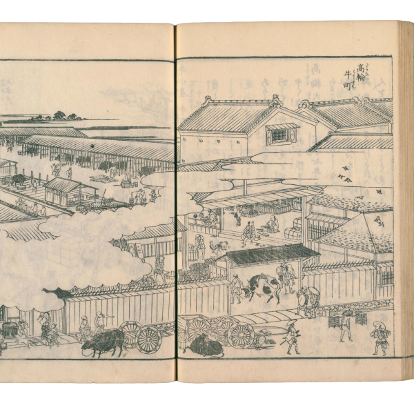 description in image caption