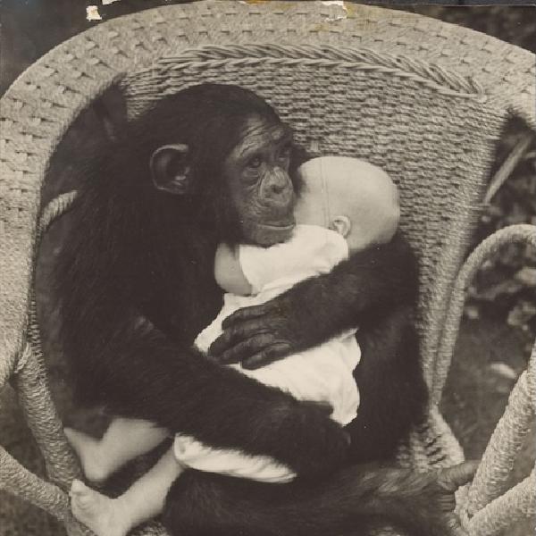 description in image caption