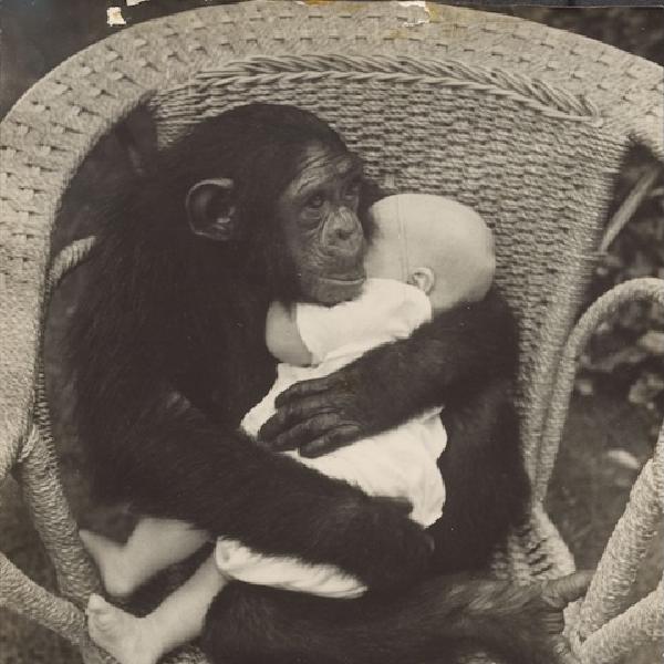 description in image caption